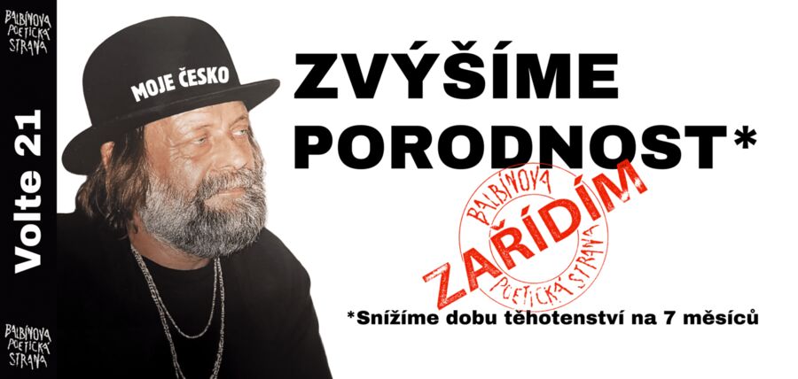Volební plakát: Zvýšíme porodnost* – zařídím